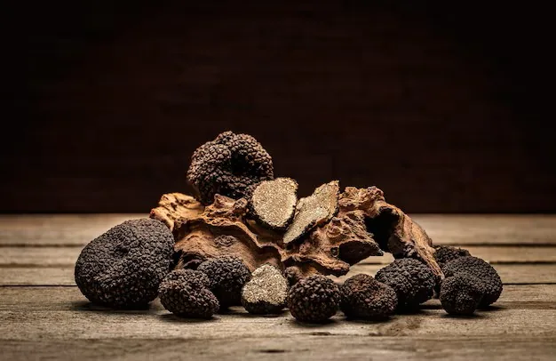 Fresh Wild Truffles